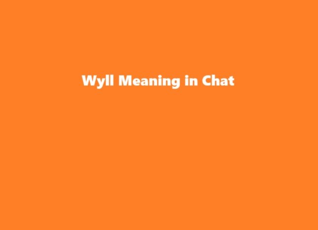 Wyll Meaning in Chat