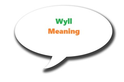 Wyll Meaning